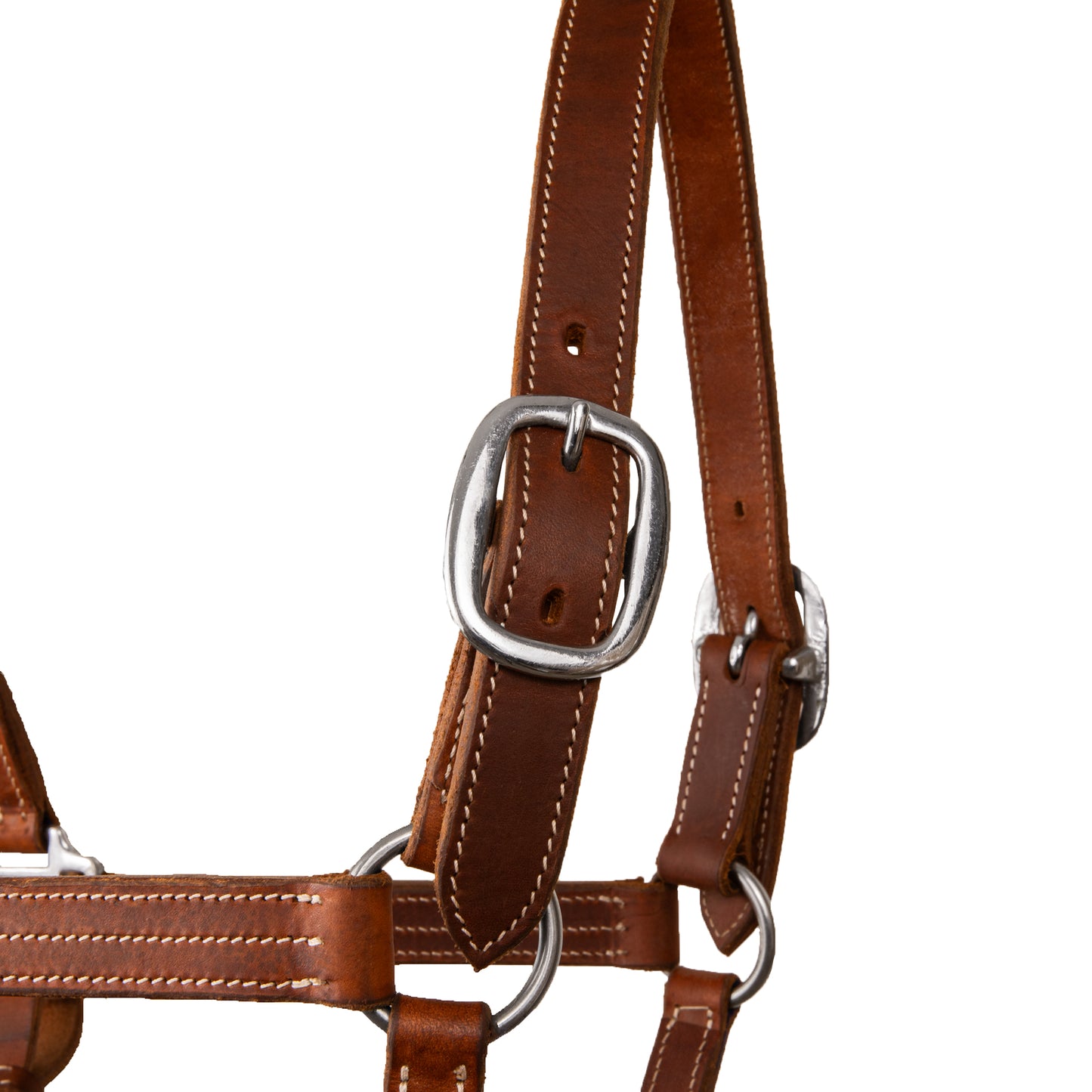 Syd Hill Cooroy Track Halter