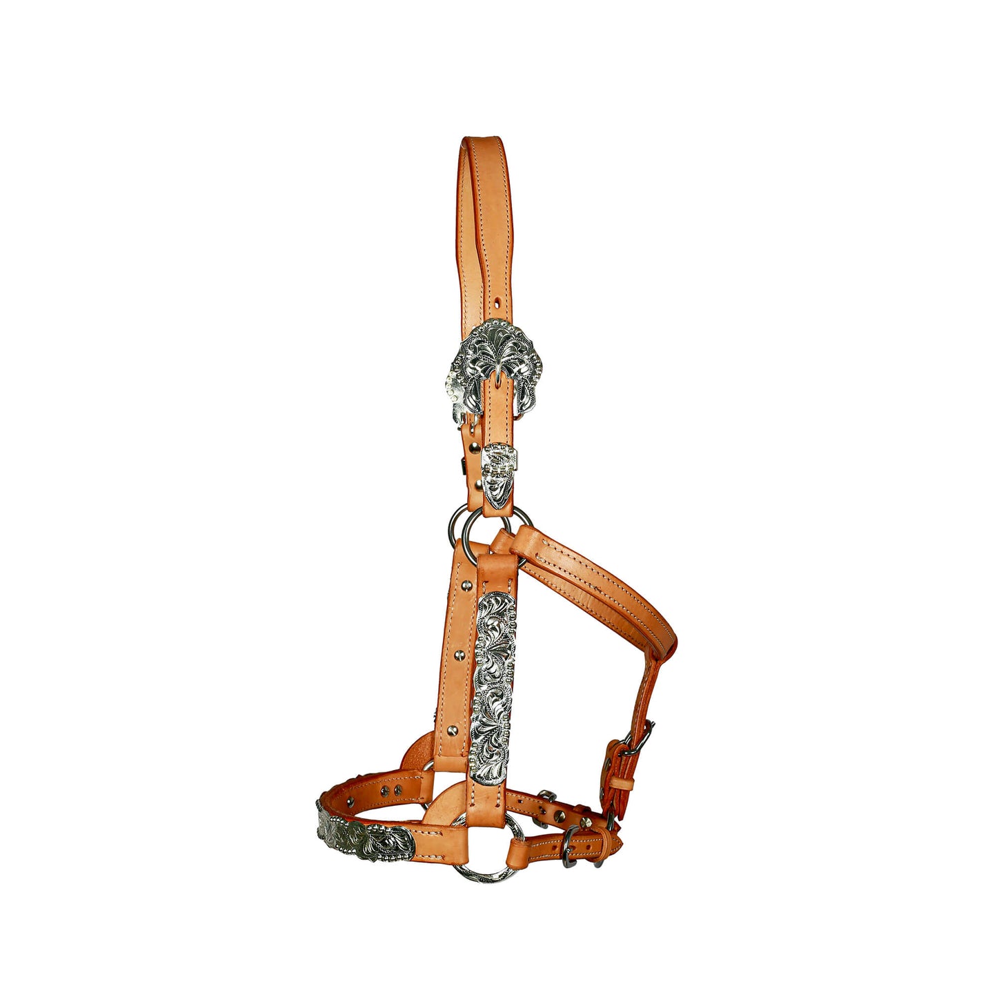 Syd Hill Buller Show Halter