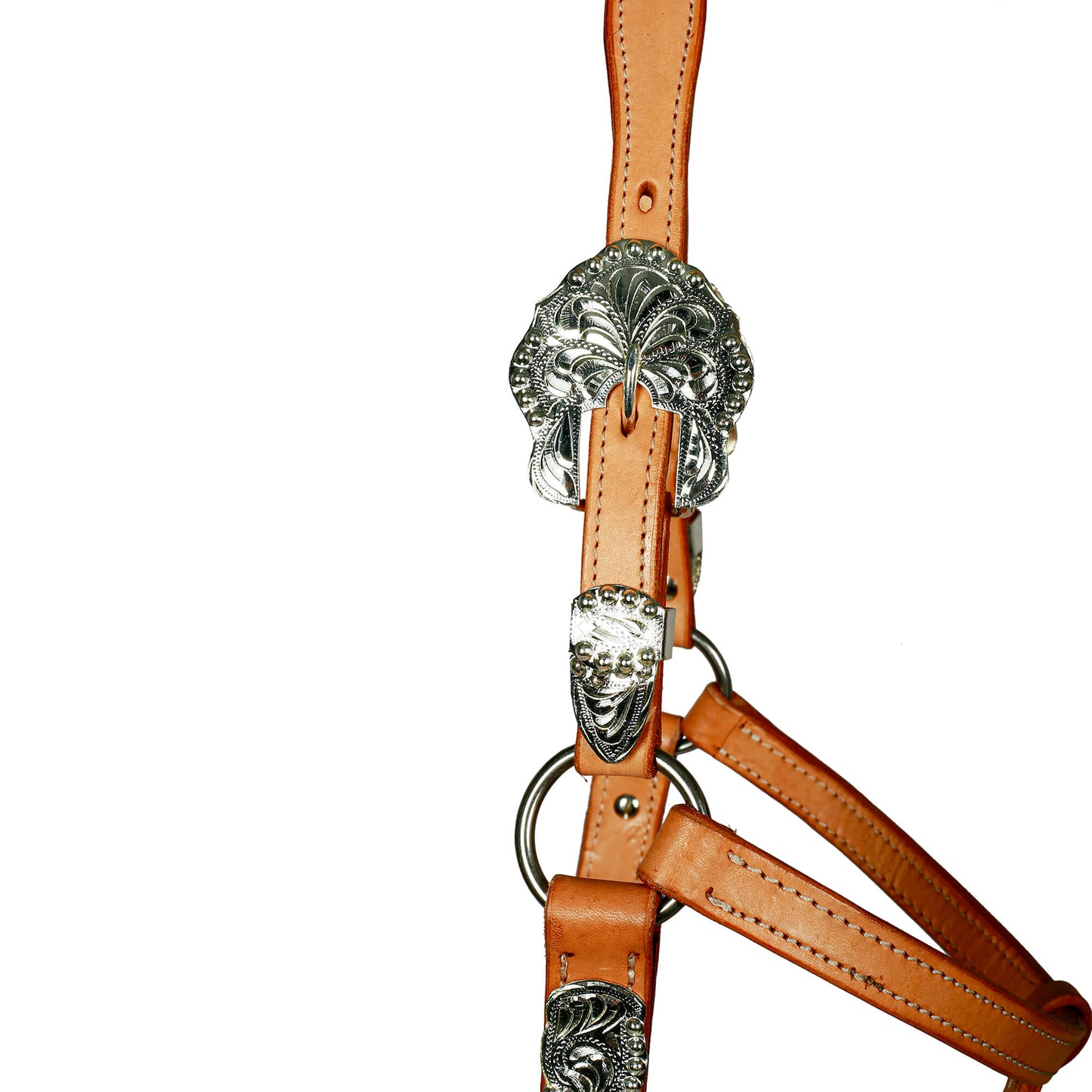 Syd Hill Buller Show Halter