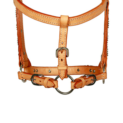 Syd Hill Buller Show Halter