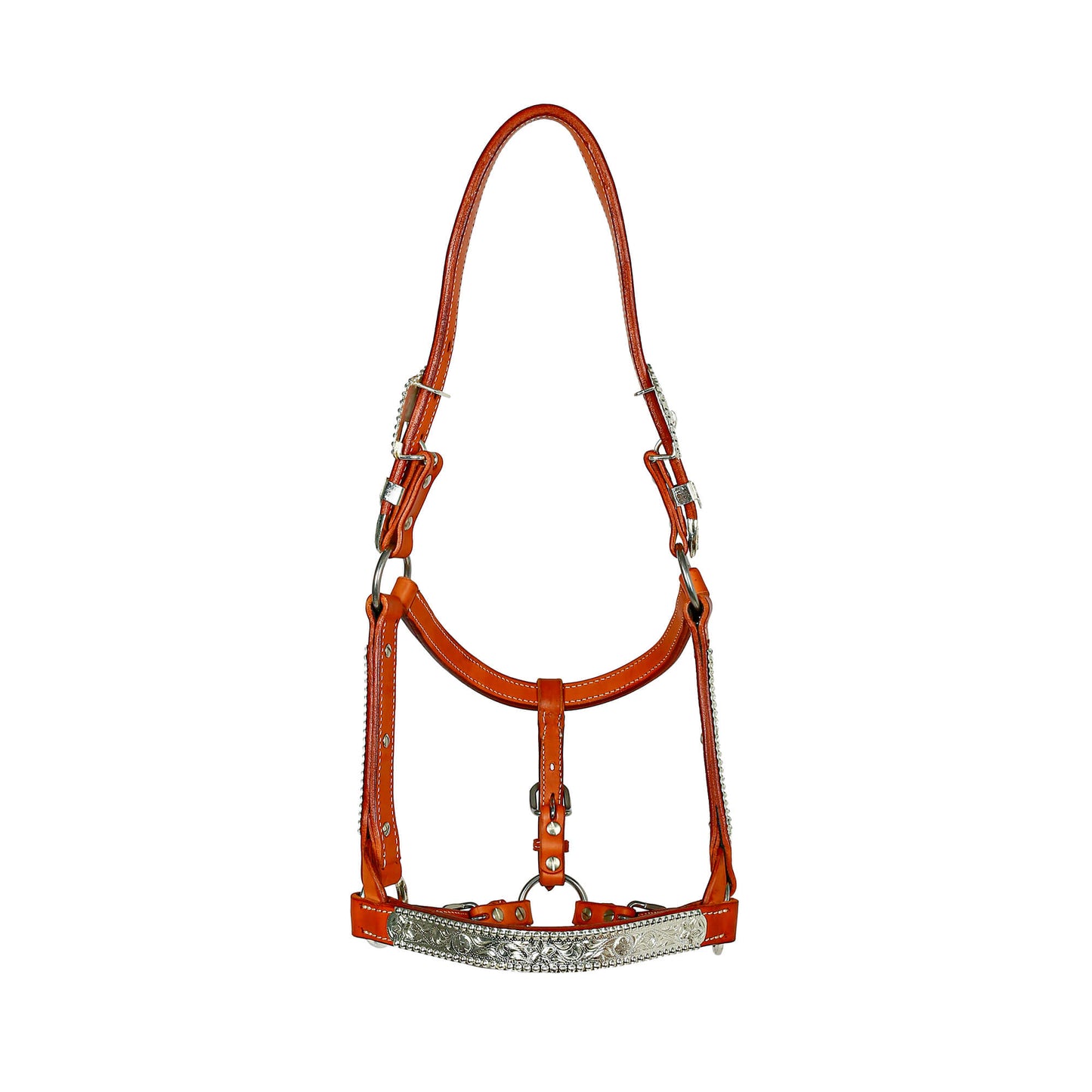 Syd Hill Lyell Show Halter