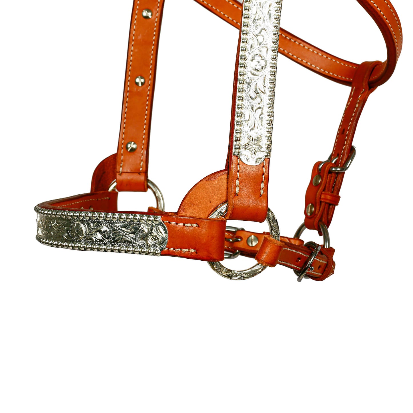 Syd Hill Lyell Show Halter