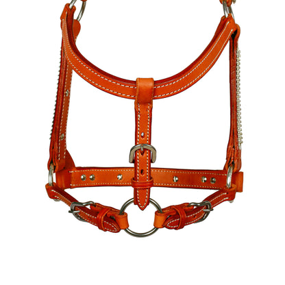 Syd Hill Lyell Show Halter